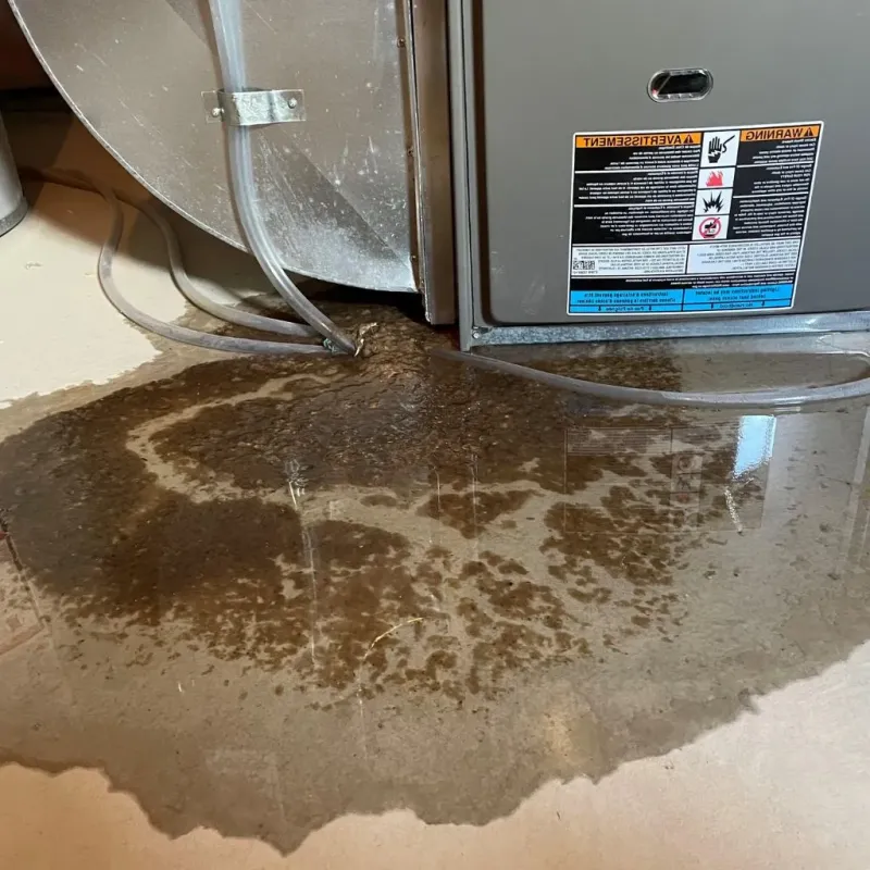 Pipe Burst and Leak Restoration in Bayou La Batre, AL