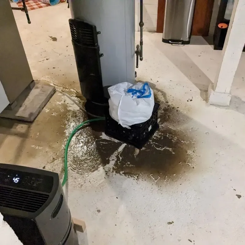 Sewage Backup Cleanup Service in Bayou La Batre, AL
